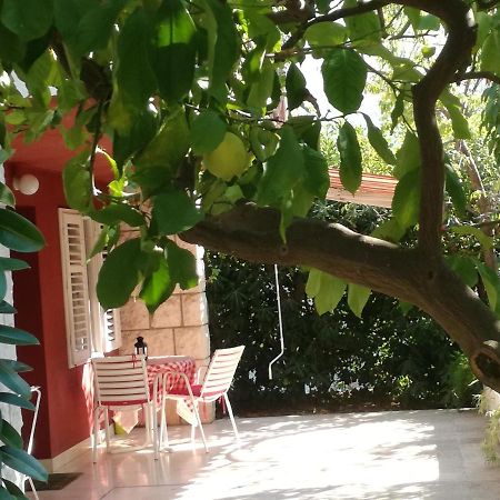 Apartment Petrovic Korčula Dış mekan fotoğraf